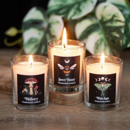 Set of 3 votive candles featuring moonlit mushrooms, bees, and luna moth illustrations, with Wildberry, Sweet Honey, and White Sage scents.