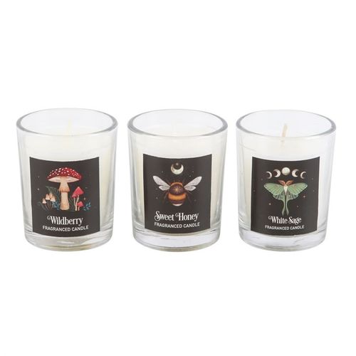 Set of 3 votive candles featuring moonlit mushrooms, bees, and luna moth illustrations, with Wildberry, Sweet Honey, and White Sage scents.