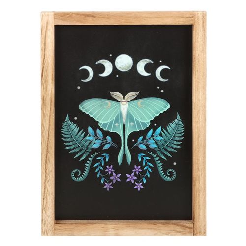 Framed Luna Moth print with moon phases, floral, and star design