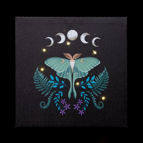 30x30cm Luna Moth LED light-up wall canvas with ethereal design