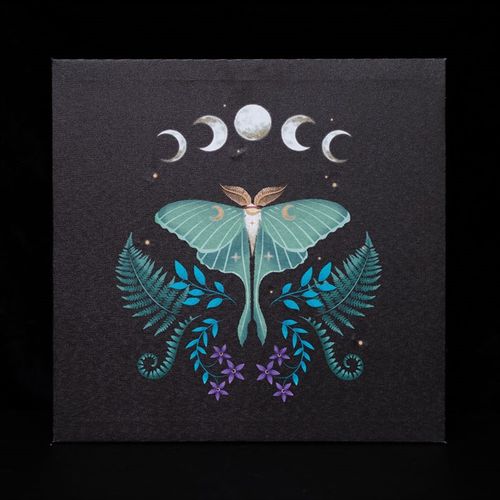 30x30cm Luna Moth LED light-up wall canvas with ethereal design