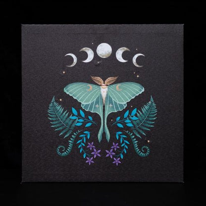 30x30cm Luna Moth LED light-up wall canvas with ethereal design