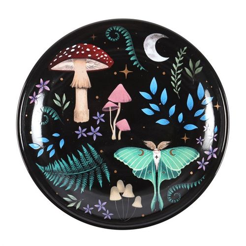 Trinket dish with nocturnal landscape illustrations of flora, fauna, and golden star details.