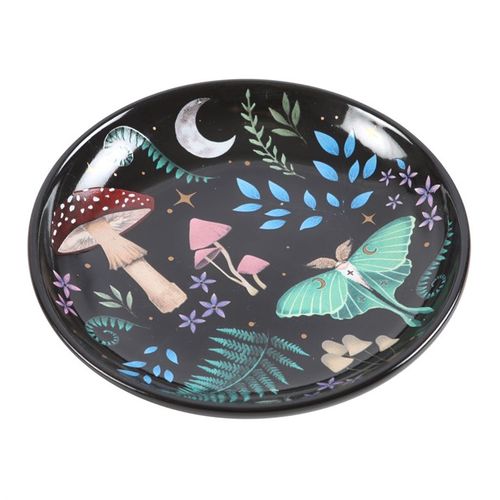 Trinket dish with nocturnal landscape illustrations of flora, fauna, and golden star details.