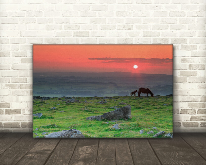 Sunset, Dartmoor National Park - Canvas Print Example