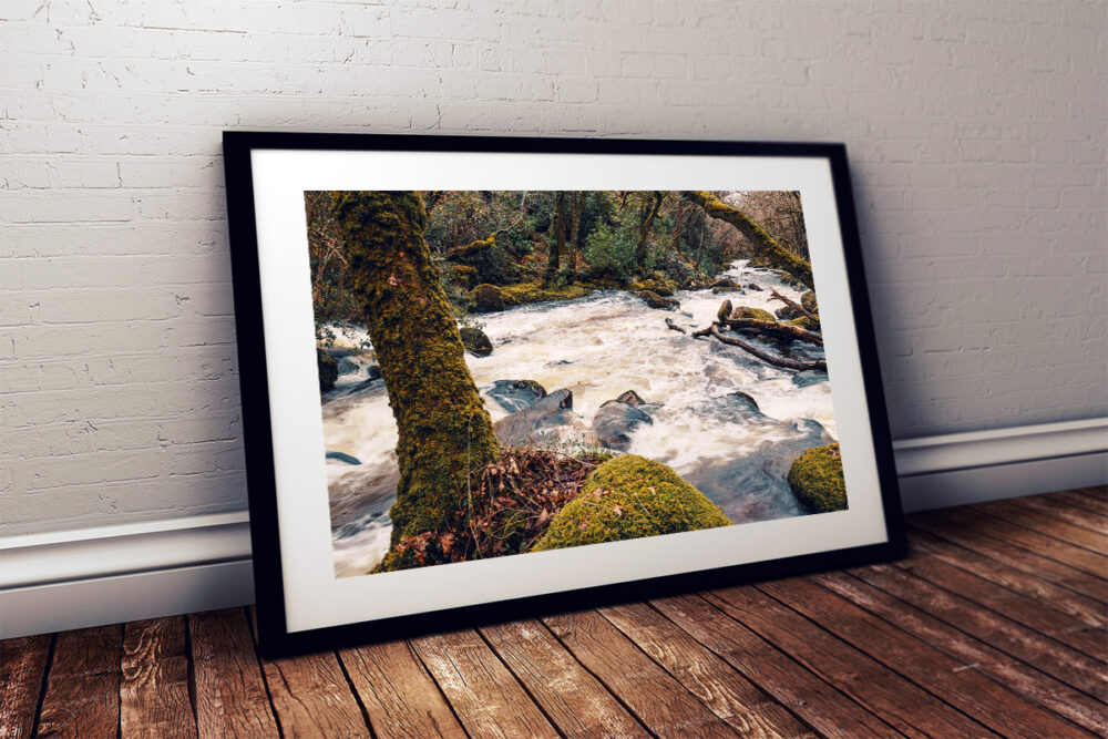 Riverscape, River Plym, Shaugh Prior, Dartmoor National Park - Framed print example